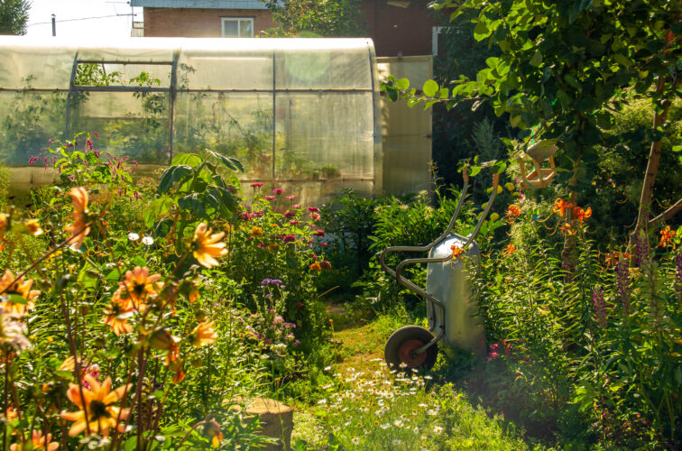 You Might Be A Homesteader If...